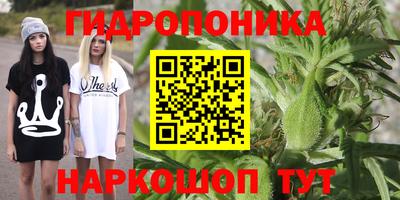 mdma Кимры