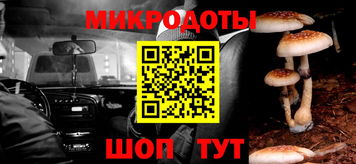 Псилоцибиновые грибы мицелий Кимры
