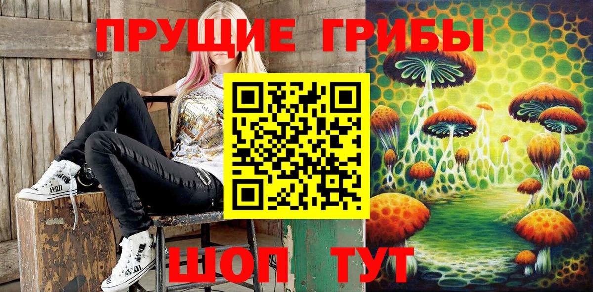 Кимры  Псилоцибиновые грибы GOLDEN TEACHER  даркнет сайт  Вход с VPN  Псилоцибиновые грибы Magic Shrooms 